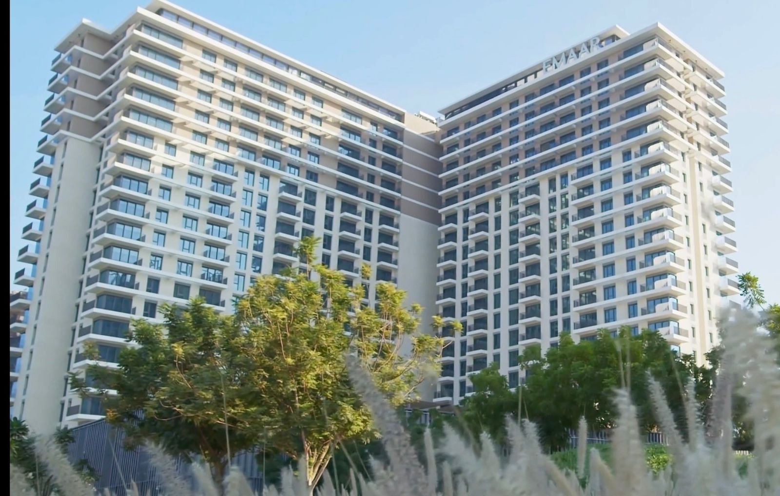 WhatsApp Image 2026-02-02 at 12.29.37 PM